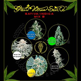 Sativa / Indica Mix B - Samsara Seeds - GreenHouse