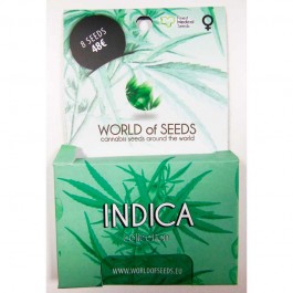Indica Collection - 8 seeds - Samsara Seeds - World of Seeds
