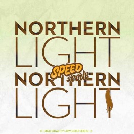 NORTHERN LIGHT X NORTHERN LIGHT - Samsara Seeds - Speed Seeds