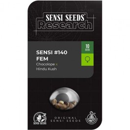 Sensi #140 (Chocolope x Hindu Kush) - Samsara Seeds - Sensi Seeds