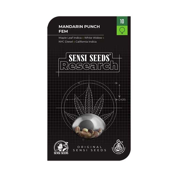 NUEVAS semillas de marihuana, Sensi Seeds Research