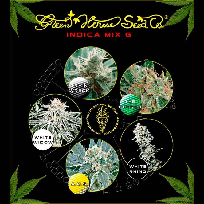 Indica Mix G - GreenHouse - Seed Banks
