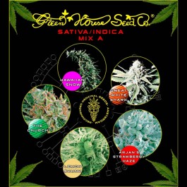 Sativa / Indica Mix A - Samsara Seeds - GreenHouse