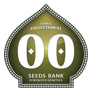 Female Collection - 00 Seeds - Seed Banks