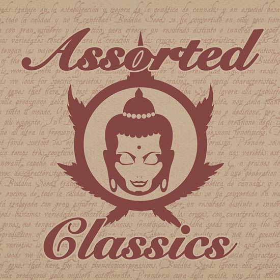 ASSORTED CLASSICS - Buddha Seeds - Seed Banks