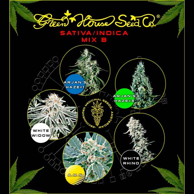 Sativa / Indica Mix B - GreenHouse - Seed Banks
