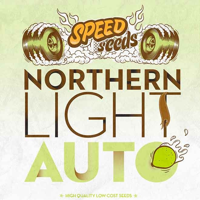 NORTHERN LIGHT AUTO - Speed Seeds - Seed Banks