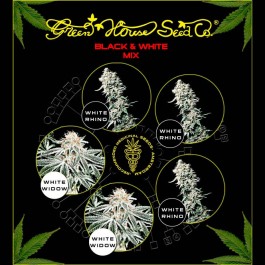Black & White Mix  - Samsara Seeds - GreenHouse
