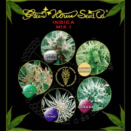 Indica Mix I  - Samsara Seeds - GreenHouse