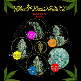 Sativa Mix - Samsara Seeds - GreenHouse