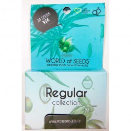 Regular Pure Origin Collection - 20 seeds - Samsara Seeds - World of Seeds