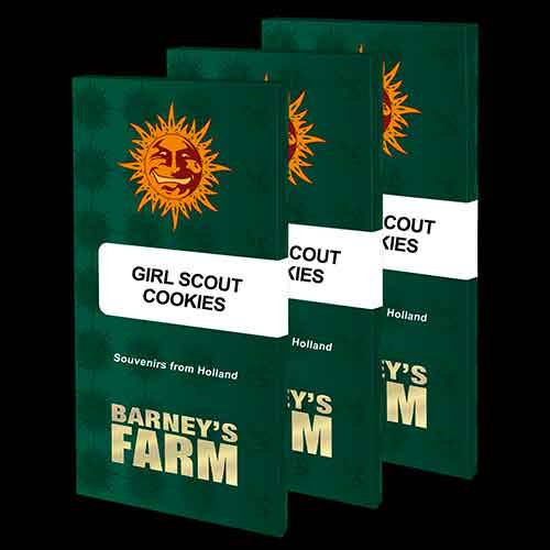 GIRL SCOUT COOKIES - Barney's Farm - Seed Banks