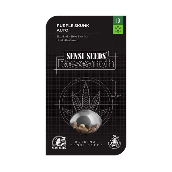 Purple Skunk Auto - Sensi Seeds - Seed Banks