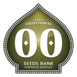 Female Collection - Samsara Seeds - 00 Seeds
