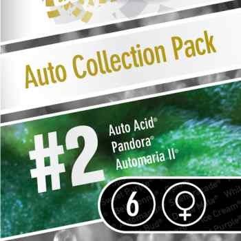 Auto Collection pack #2 - Paradise Seeds - Seed Banks
