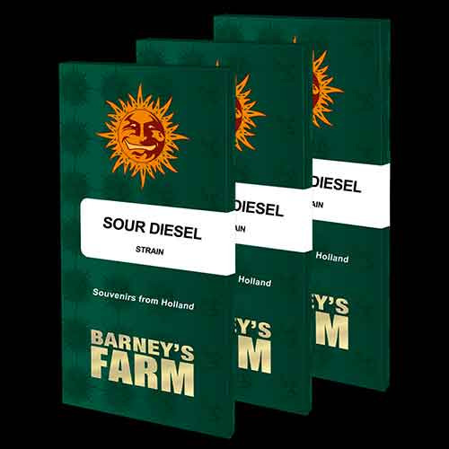 SOUR DIESEL - Barney's Farm - Seed Banks