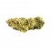 Purchase GREENTHUMB´S EM-DOG BY CYPRESS HILL